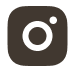 instagram social button